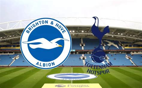 brighton đấu với tottenham